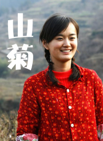 国产一区二区视频在线观看
